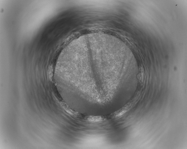 X0000086950767200705071443