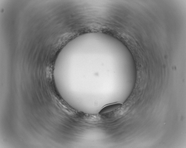 X0000086950768200705071443