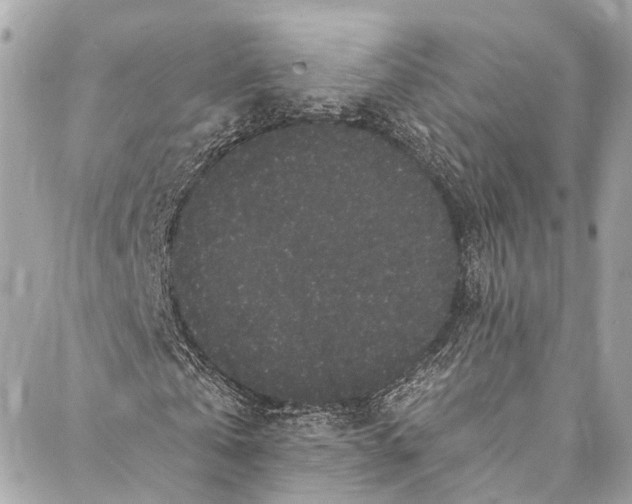 X0000086950769200705071442