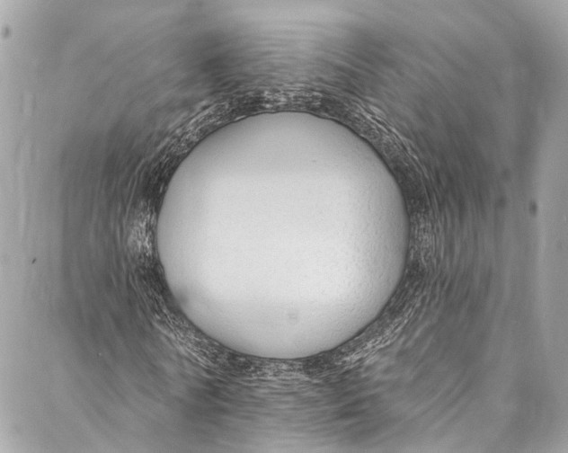 X0000086950770200705071442