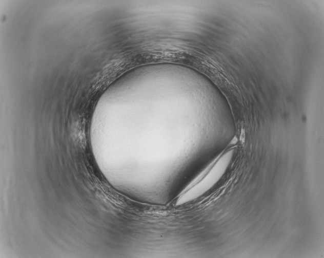 X0000086950771200705071442