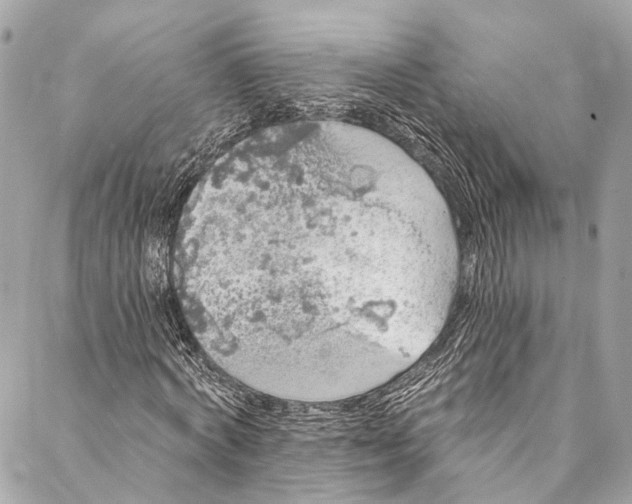 X0000086950772200705071442