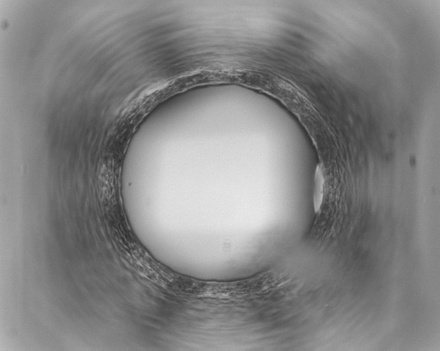 X0000086950773200705071442