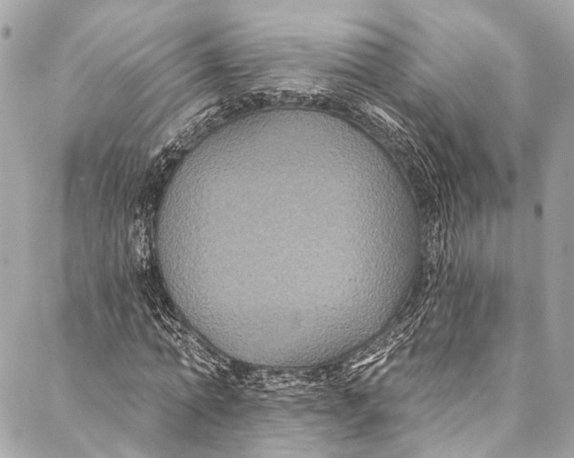 X0000086950774200705071442