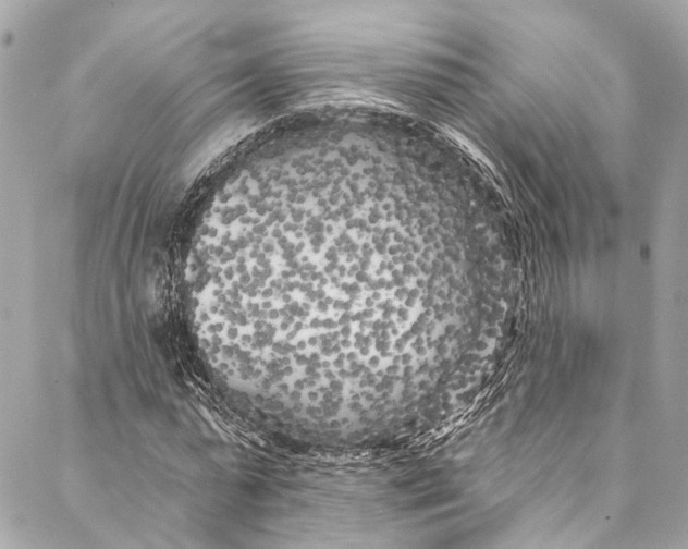 X0000086950775200705071442