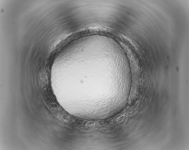 X0000086950776200705071442