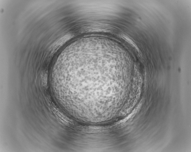 X0000086950777200705071442