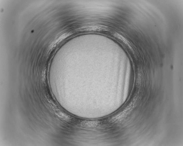 X0000086950778200705071442