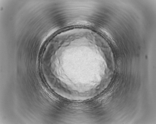 X0000086950780200705071442