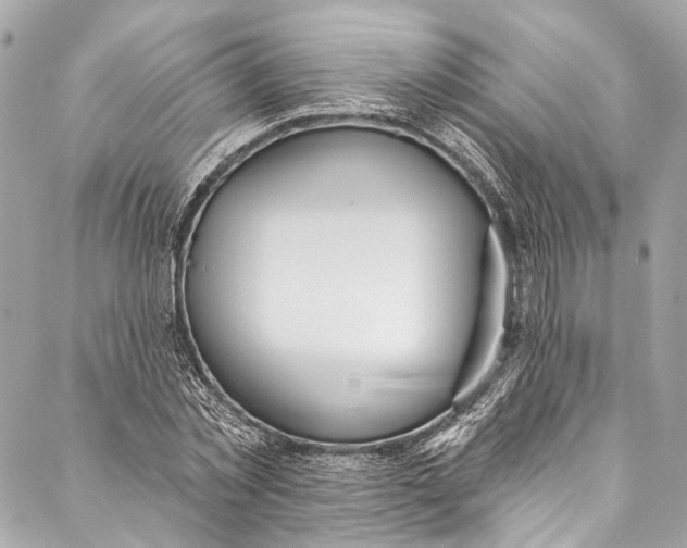 X0000086950781200705071442