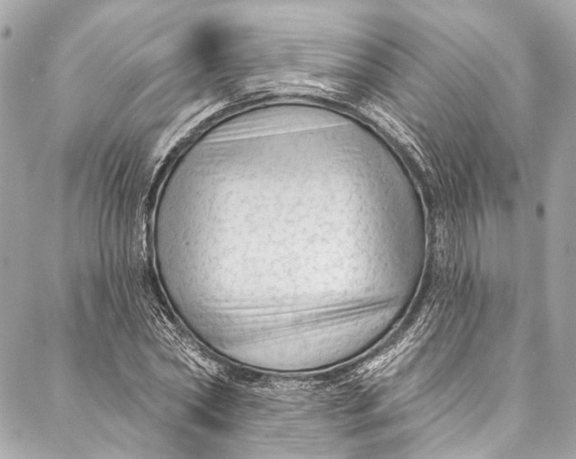 X0000086950782200705071442