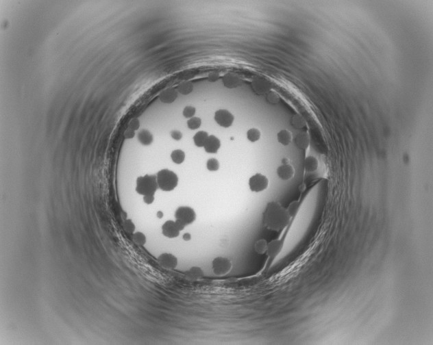 X0000086950783200705071442