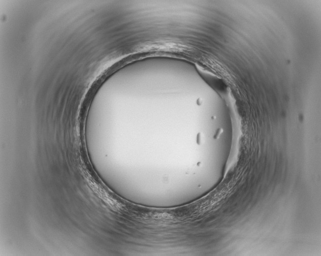 X0000086950784200705071442