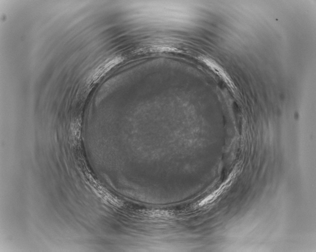 X0000086950785200705071442