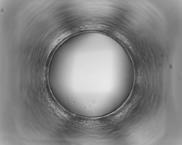 X0000086950786200705071442