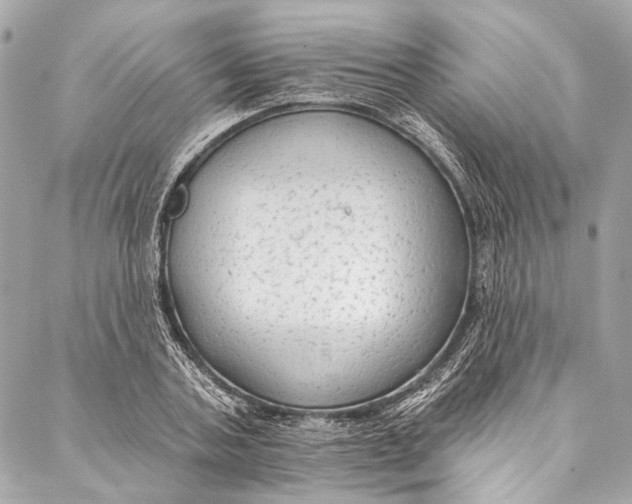 X0000086950787200705071442