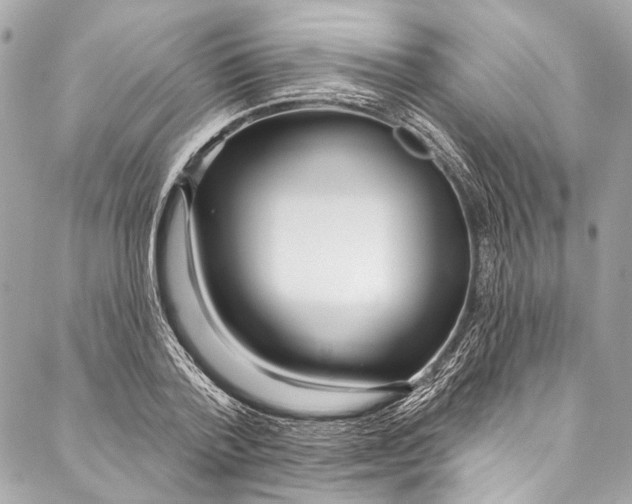 X0000086950788200705071442