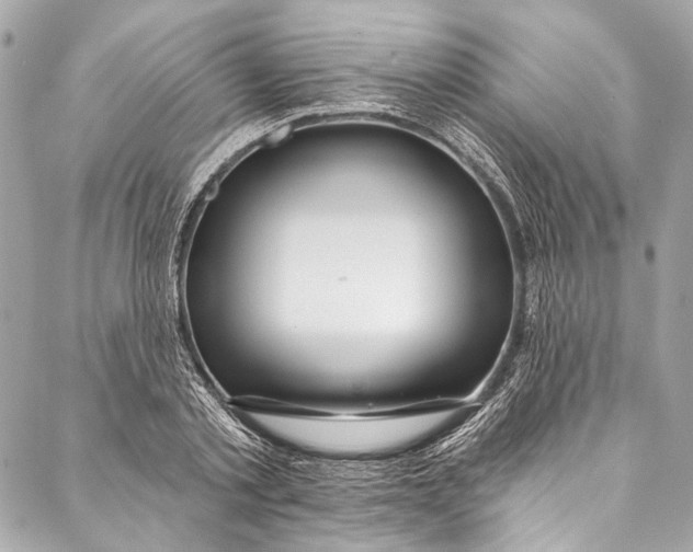 X0000086950789200705071442