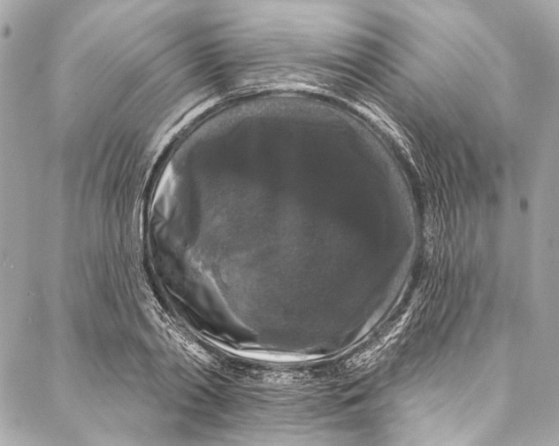 X0000086950790200705071442