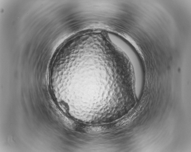 X0000086950791200705071442