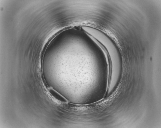 X0000086950792200705071442