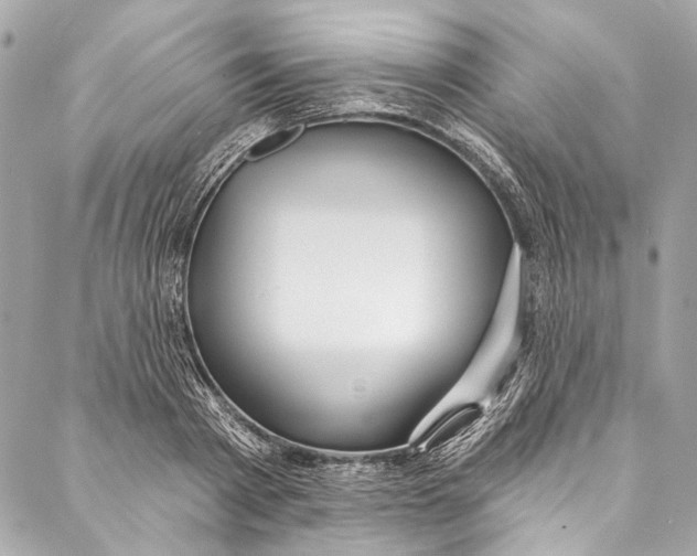 X0000086950793200705071442