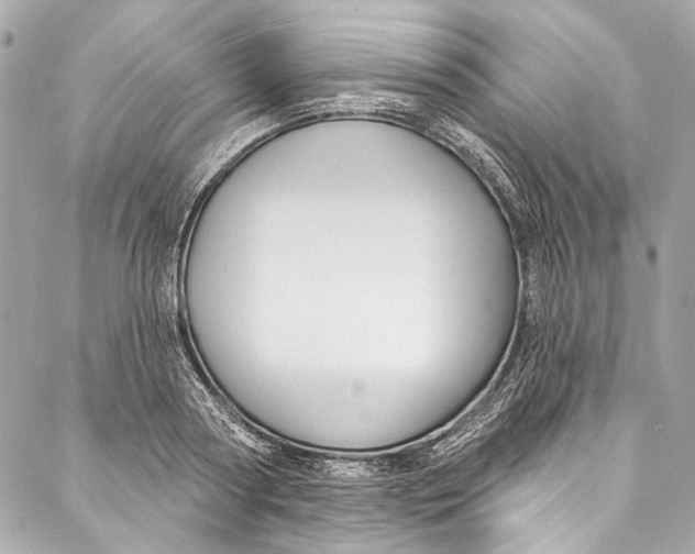 X0000086950794200705071442