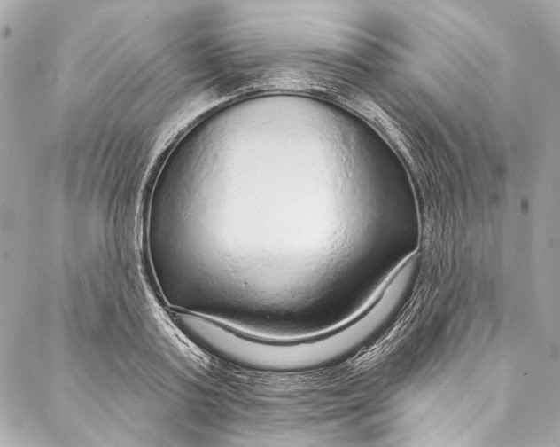 X0000086950795200705071442