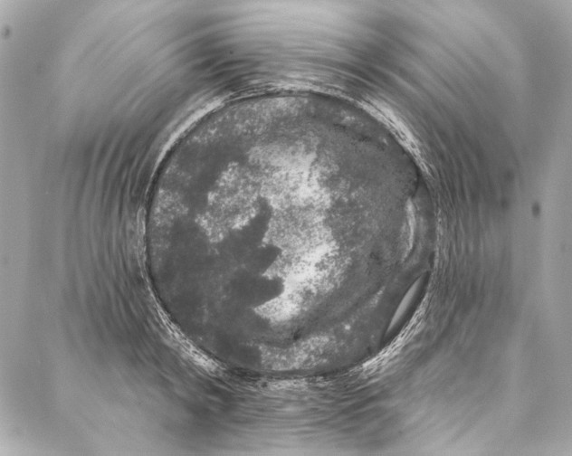 X0000086950798200705071442