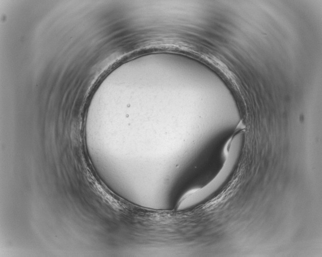 X0000086950799200705071442