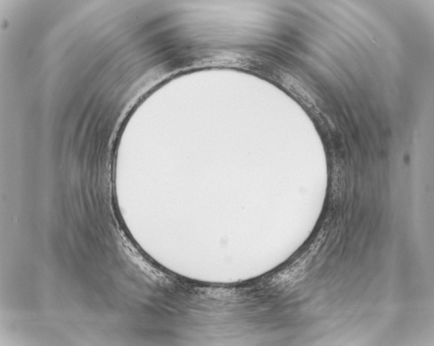 X0000086950800200705071442