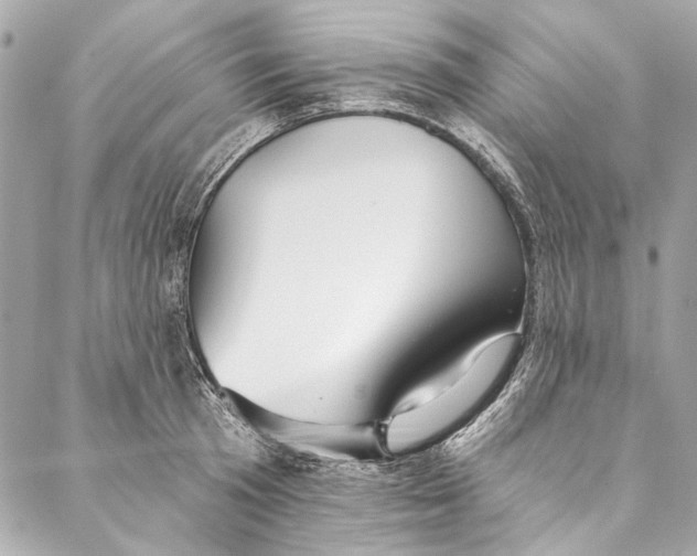 X0000086950801200705071442