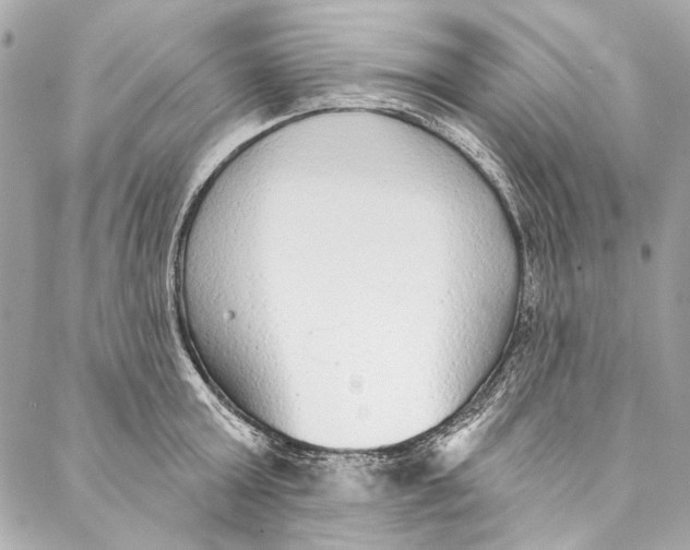 X0000086950803200705071442