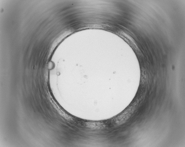 X0000086950804200705071442