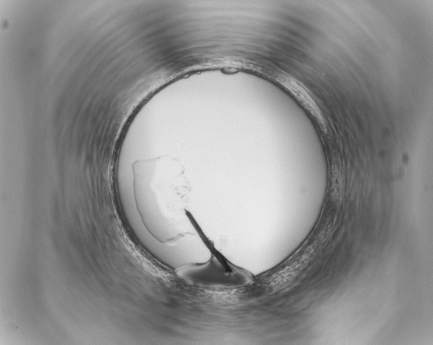 X0000086950805200705071442