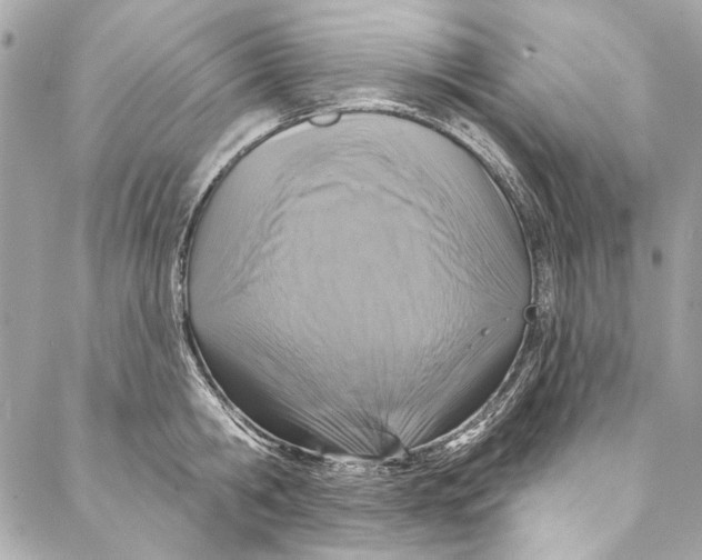 X0000086950806200705071441