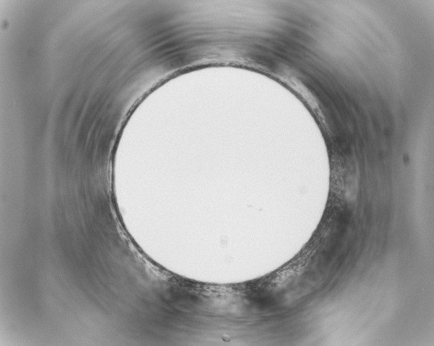 X0000086950807200705071441