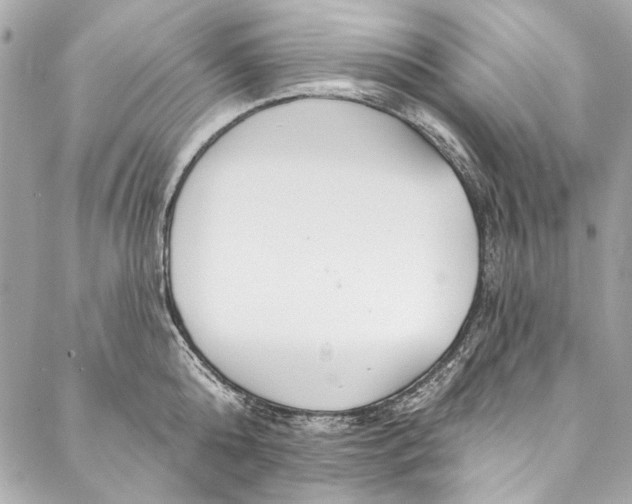 X0000086950808200705071441