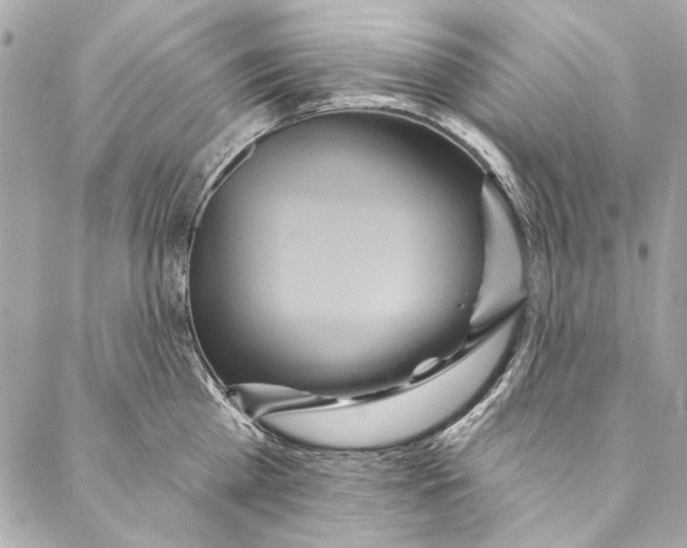 X0000086950809200705071441