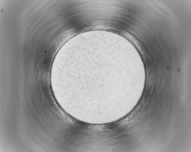 X0000086950810200705071441