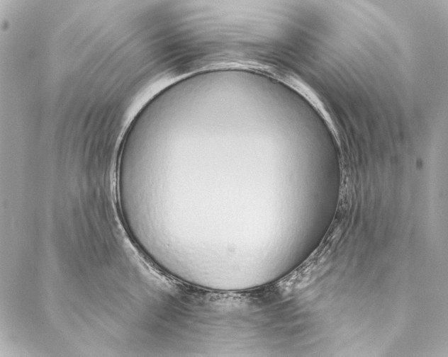 X0000086950811200705071441