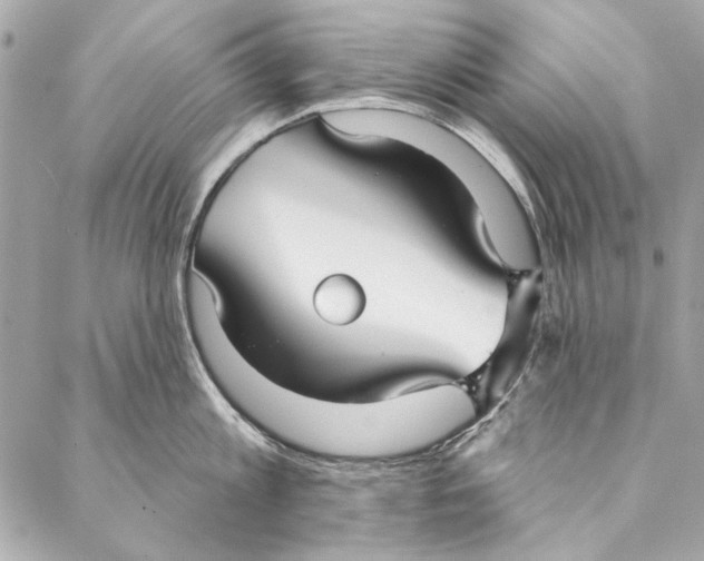 X0000086950813200705071441