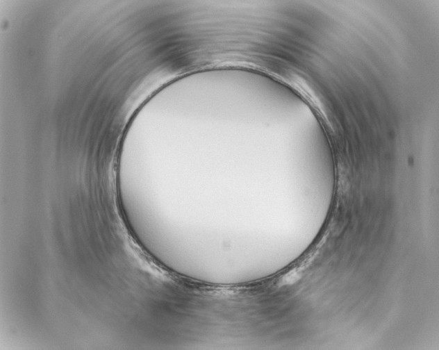 X0000086950814200705071441