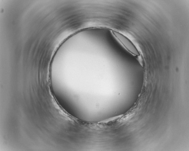 X0000086950815200705071441