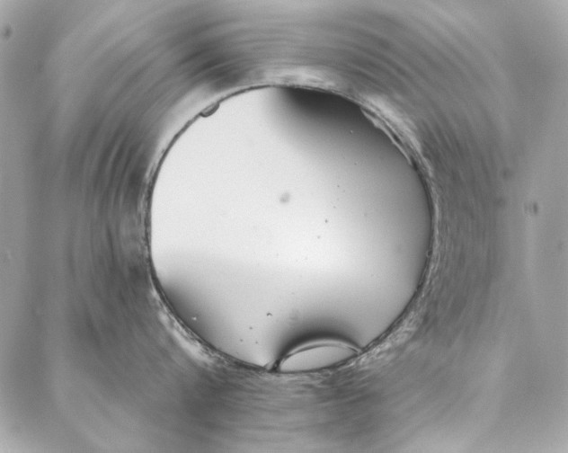 X0000086950816200705071441