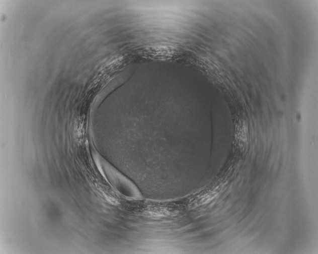 X0000086950818200705071441