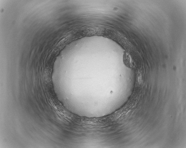 X0000086950819200705071441