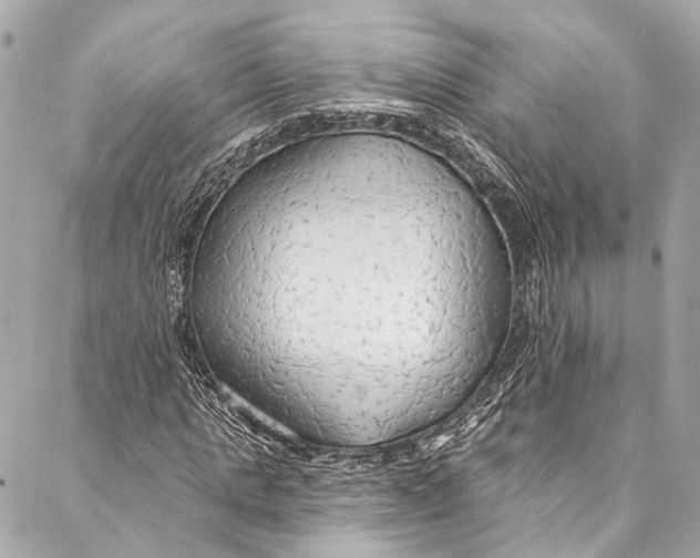 X0000086950821200705071441