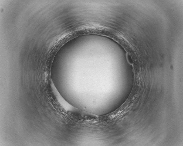 X0000086950822200705071441