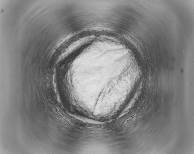 X0000086950823200705071441